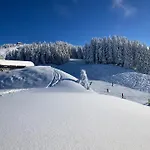 Ξενοδοχείο Skirast - Kirchberg 3*